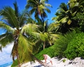 Sunscape Dominicus La Romana