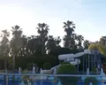 Q Premium Resort