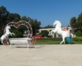 Asteria Collection Side