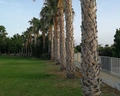 Crowne Plaza Limassol by IHG