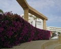 Crowne Plaza Limassol by IHG