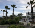 Alba Resort