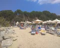 Aristotelis