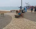 Oasis Salinas Sea
