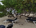 Grand Palladium Palace Resort Spa & Casino