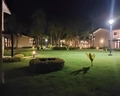 Grand Palladium Palace Resort Spa & Casino