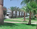 Minos Mare
