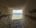 Saritas