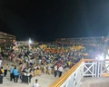 Paradise Golden 5