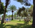 Sural Saray