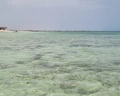 Dar Jerba Narjess