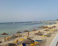 Dar Jerba Narjess