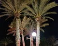 Dar Jerba Narjess
