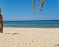 Dar Jerba Narjess