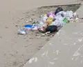 Flower and Spa