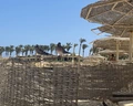 Royal Brayka Resort