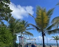 Viva Wyndham V Heavens