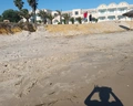 Caribbean World Monastir
