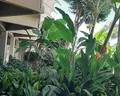 Richmond Ephesus Resort