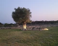 Ekaterini