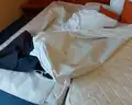 Alba