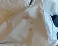Alba