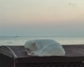 Side Star Beach