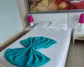 Sultan of Dreams