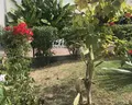 Brilliant Holiday Resort