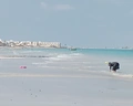 Holiday Beach Djerba