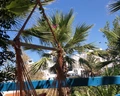Palm Bay