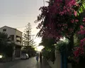 Palm Bay