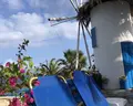 Palm Bay