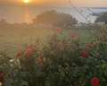 Cynthiana Beach