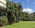 Hydra Beach Resort