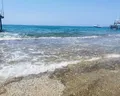 Blue Fish