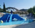 Blue Fish