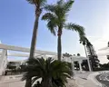 Dome Beach Resort