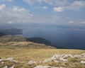 Aqualina