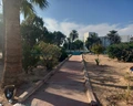 Dar Jerba Narjess