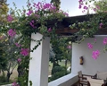 Hydra Beach Resort