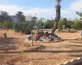 Dar Jerba Narjess