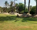 Dar Jerba Narjess