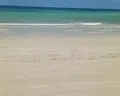 Dar Jerba Narjess
