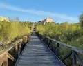 Playacanela