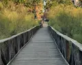 Playacanela