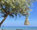 Geraniotis Beach