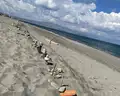 Geraniotis Beach