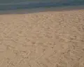 Stella Beach Resort & Spa