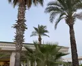 Onkel Beldibi Resort